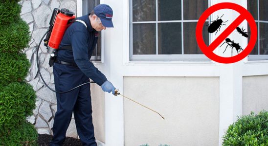 Almus Karınca İlaçlama böcek ilaçlama ve haşere kontrolü — ilaclama-tr.com